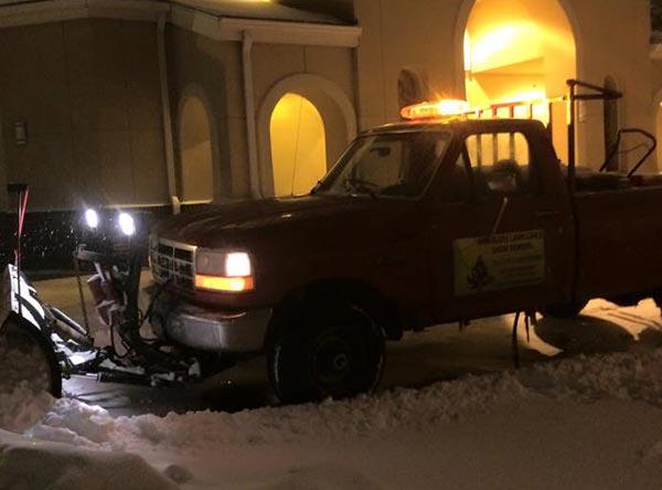 Images Alex's Lawn Care Tree Service & Snow Removal