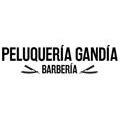 Peluquería Barberia Gandia Logo