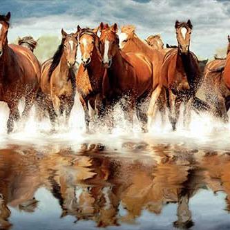 The Ranch at Trails End, LLC