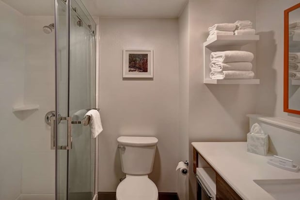 Images Hampton Inn Birmingham-Colonnade 280