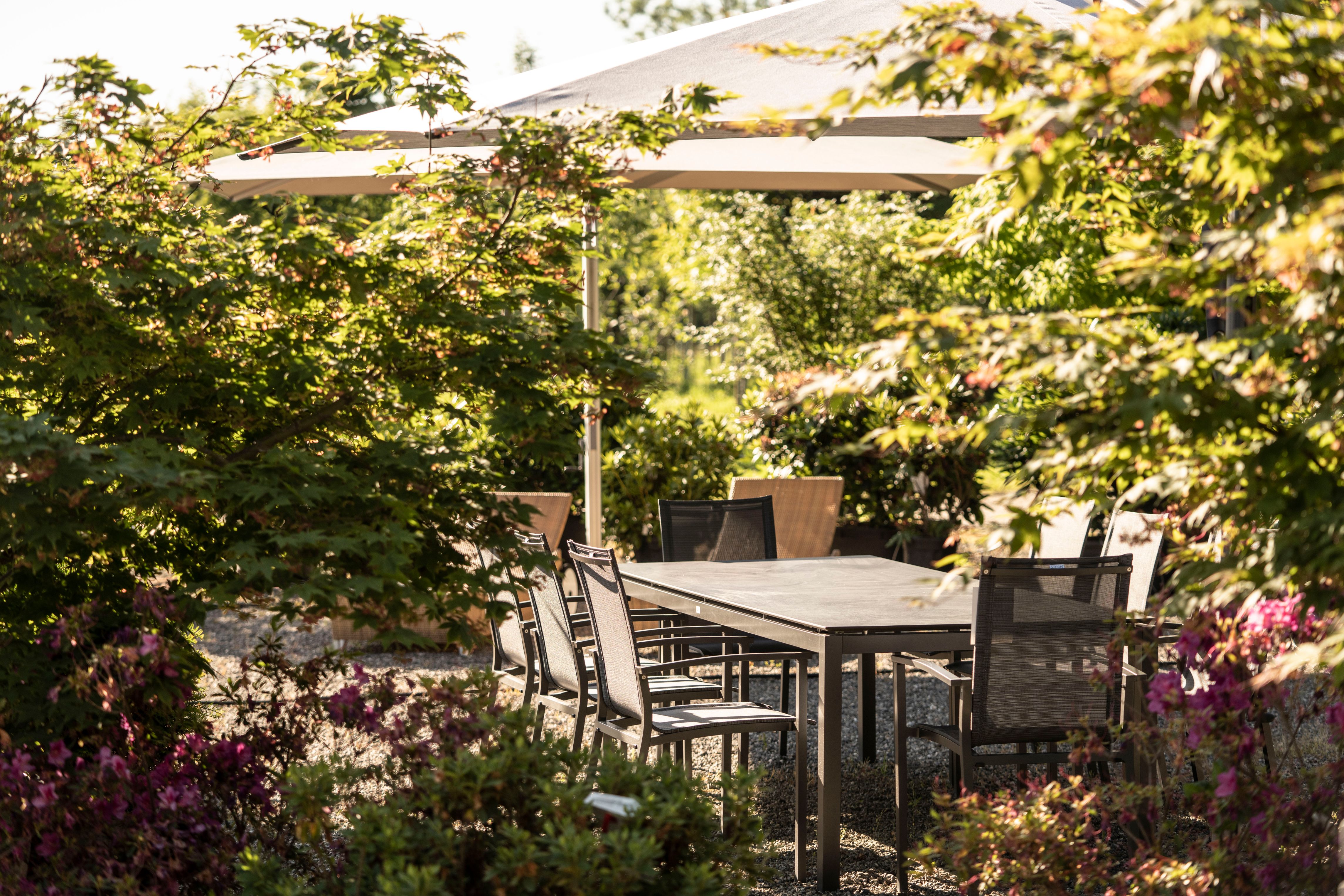 Bilder wüthrich pflanzen ag