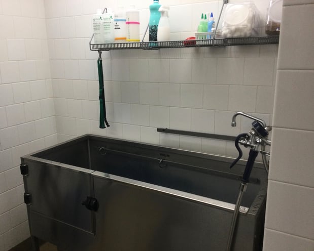 Images Petco Grooming