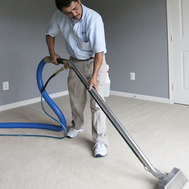 Images Absolute Carpet Care
