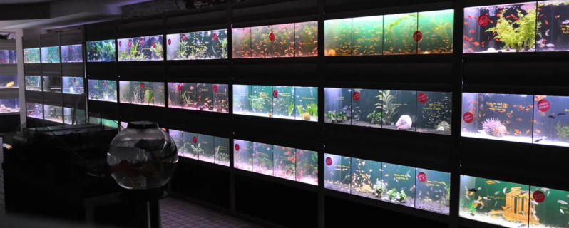 Images A.C.O. Personal Hobby