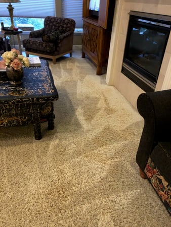 Images Carpet Pro Carpet Cleaning & Dyeing