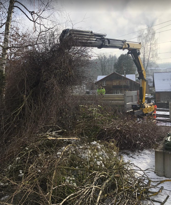 Bilder Tschan Gartenbau & Gartenunterhalt GmbH
