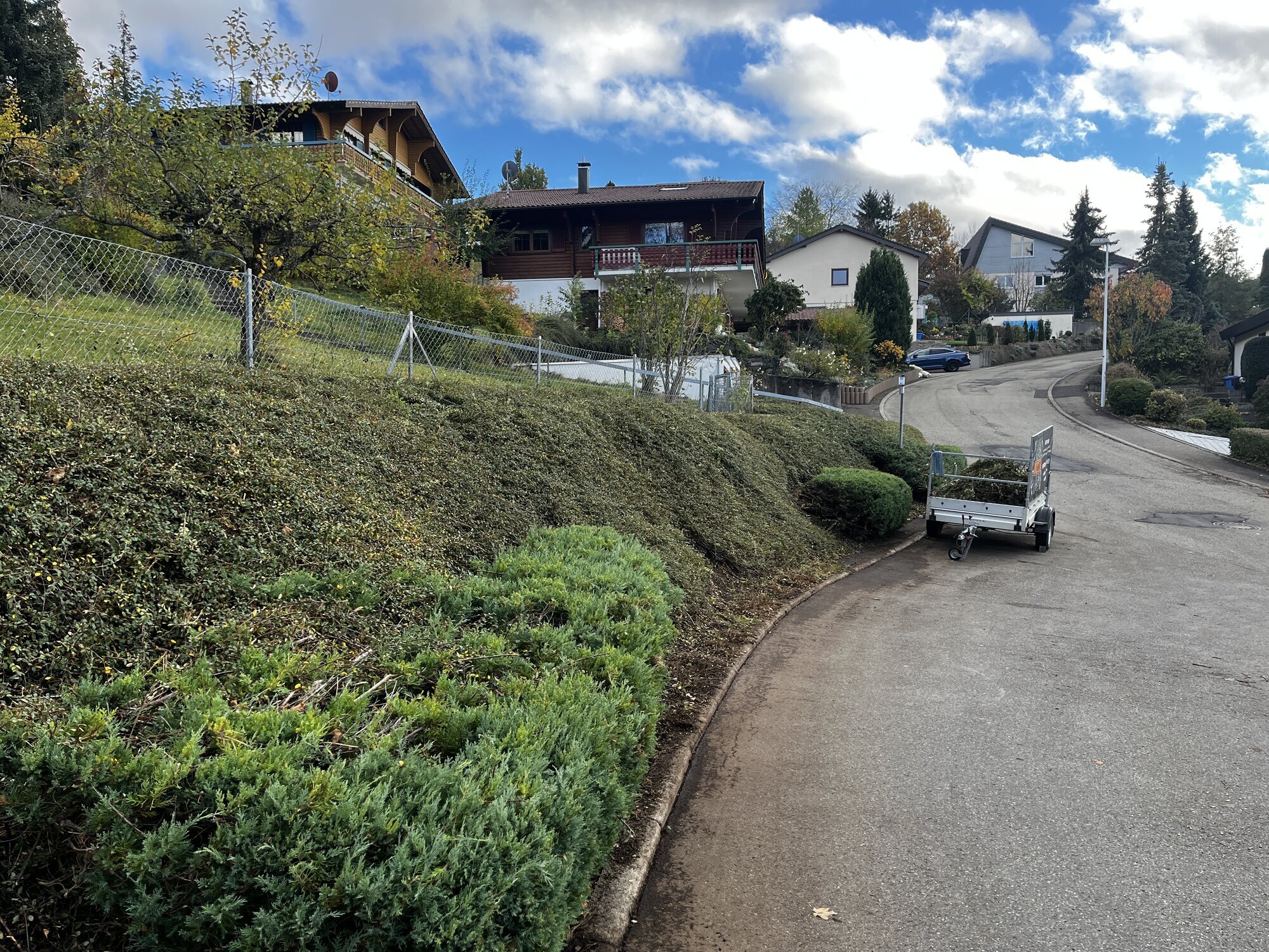 Bilder GuthARTig