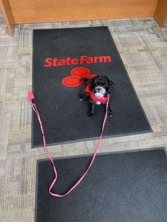 Images Dina Pierskalla - State Farm Insurance Agent
