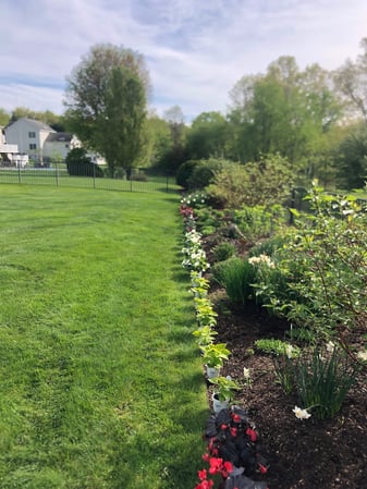 Images Greenleaf’s Garden Design