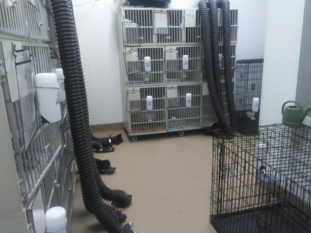 Images Petco