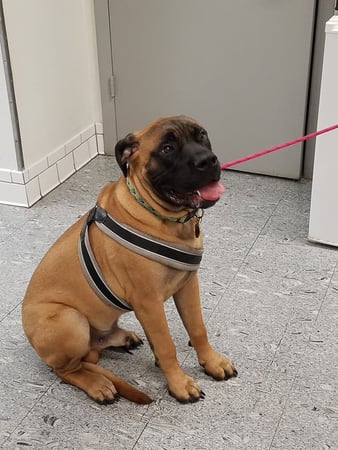 Images Gateway Animal Hospital