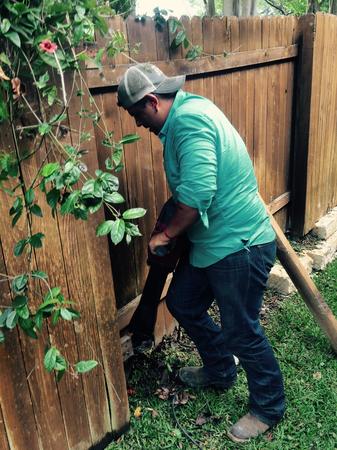Images Zilker Landscaping