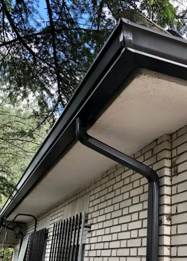 Images Canalones Diez Jose