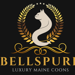 Bellspurr Logo