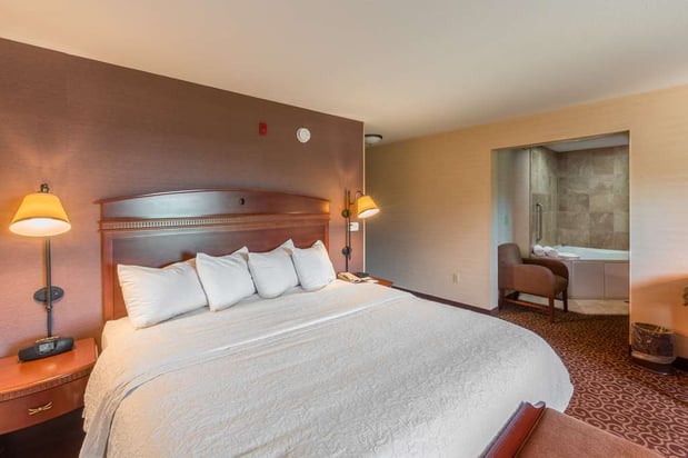 Images Hampton Inn Goshen