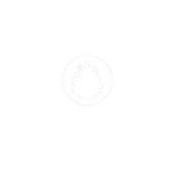 Čiekurkalna zobārstniecība