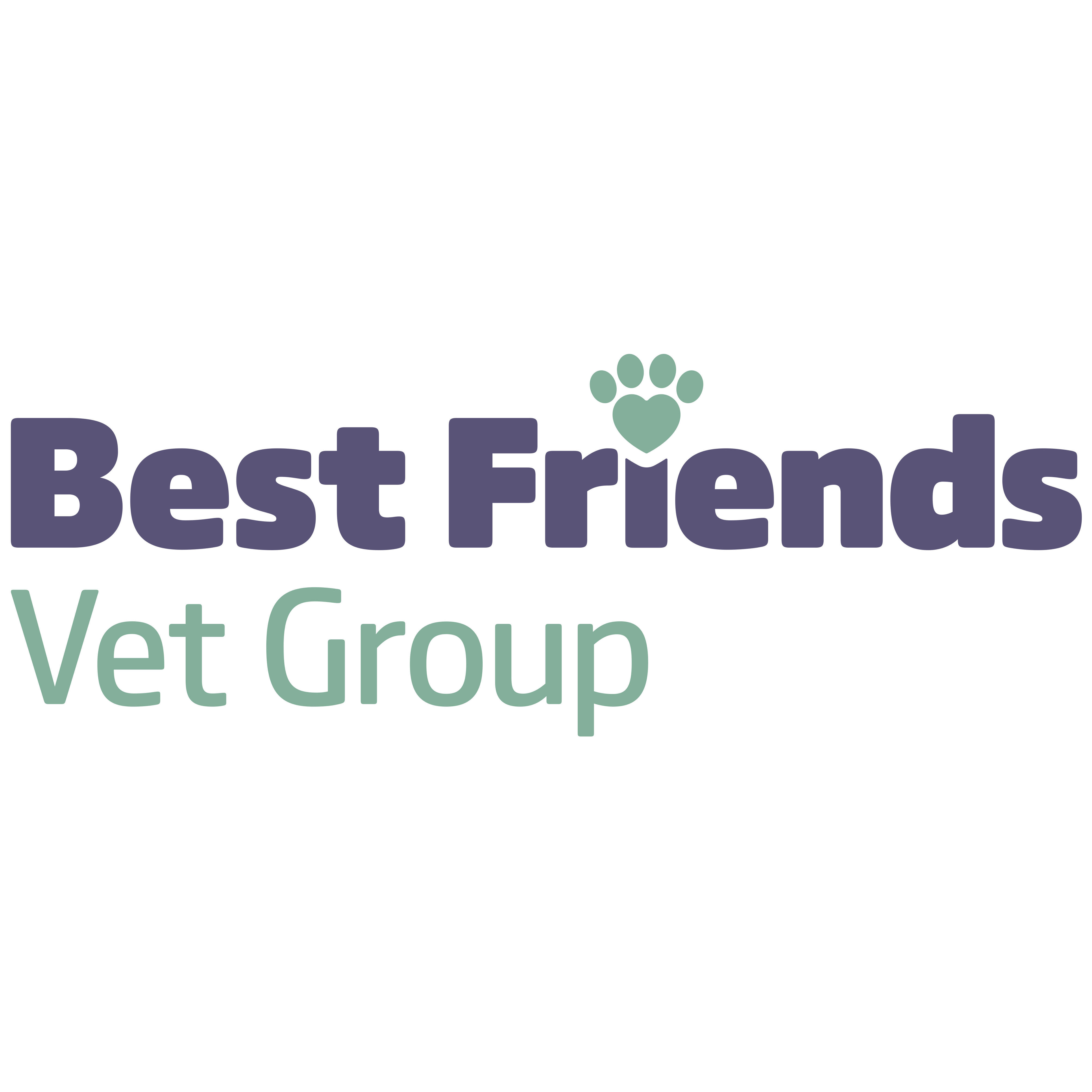 Best Friends Vet Group, March Logo