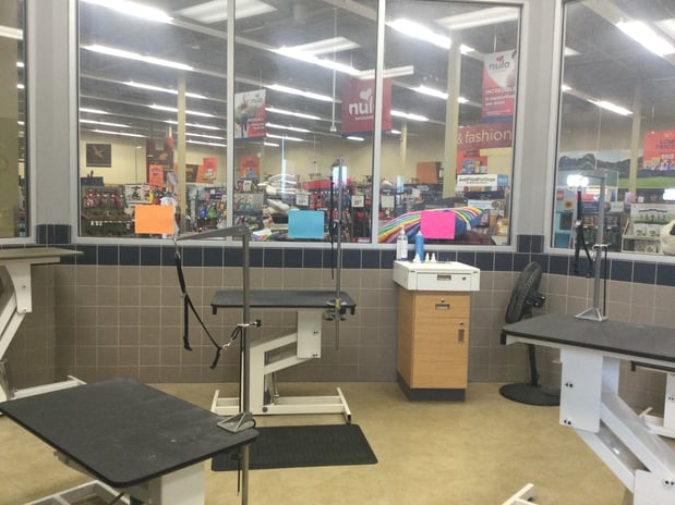 Images Petco