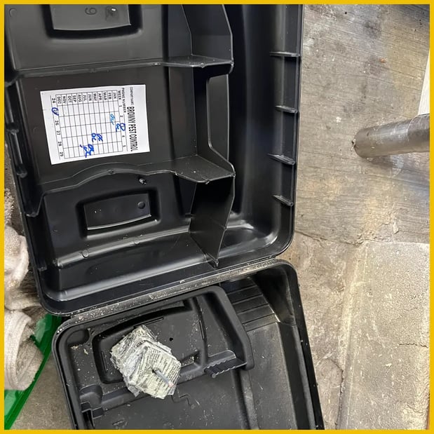 Images Browny Pest Control