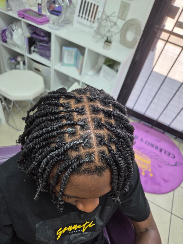 Images Officially Celebrity Braids