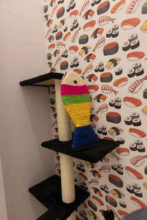 Images Cozy Cat Suites