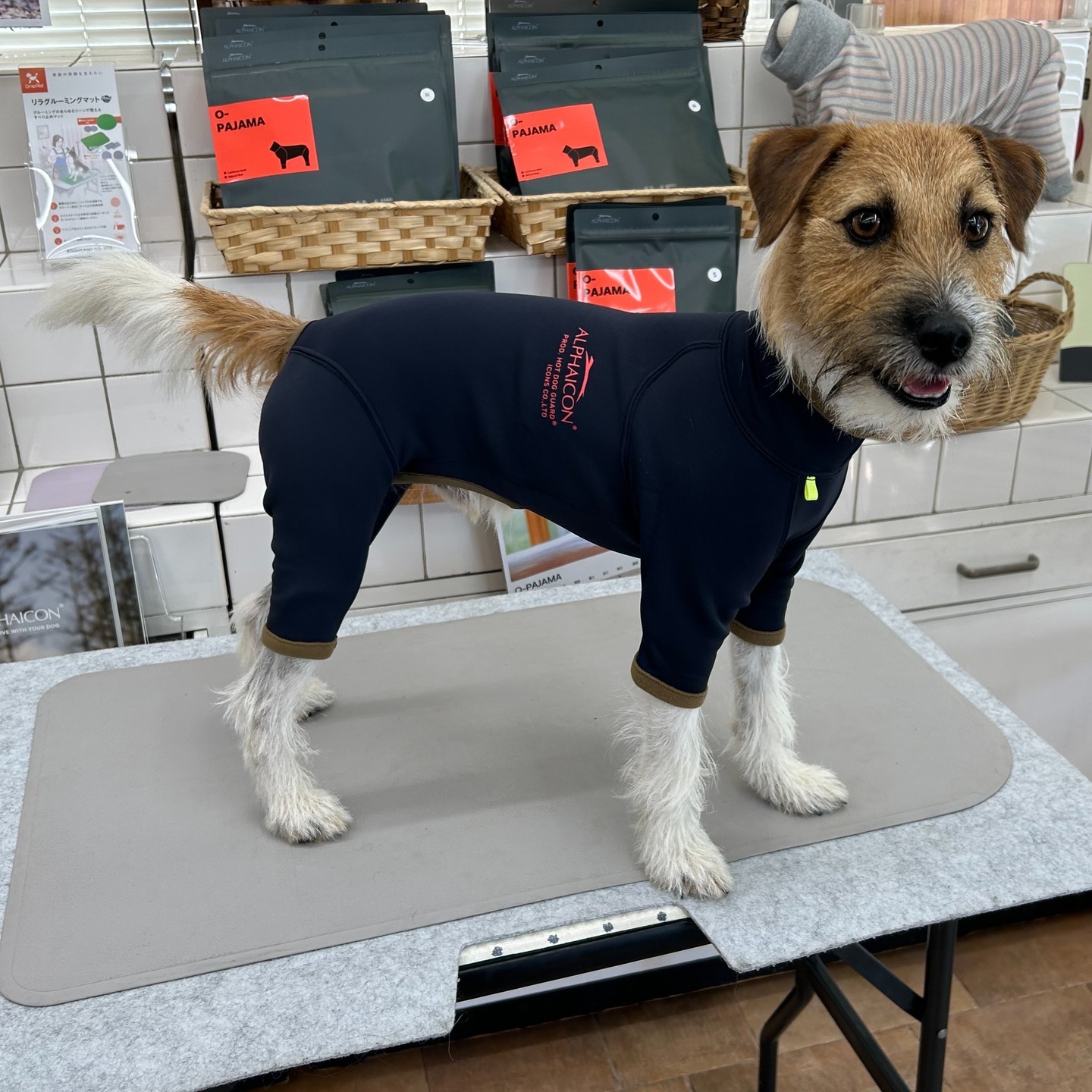 Images たまとポチ 宇津木店