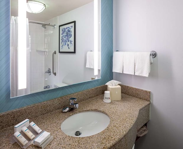 Images Hilton Garden Inn Chicago OHare Airport