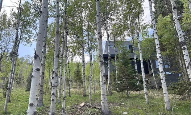 Images Alpine Forestry