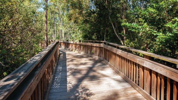 Images Crosswinds at Nocatee by Toll Brothers