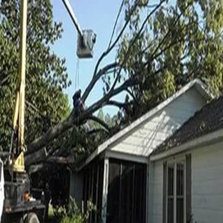 Images Childress Complete Tree Service