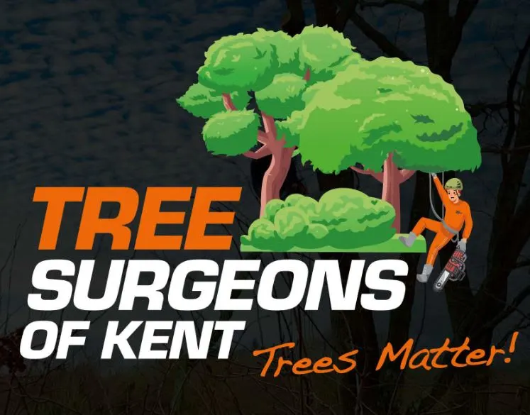Tree Surgeons of Kent Maidstone 01622 534747