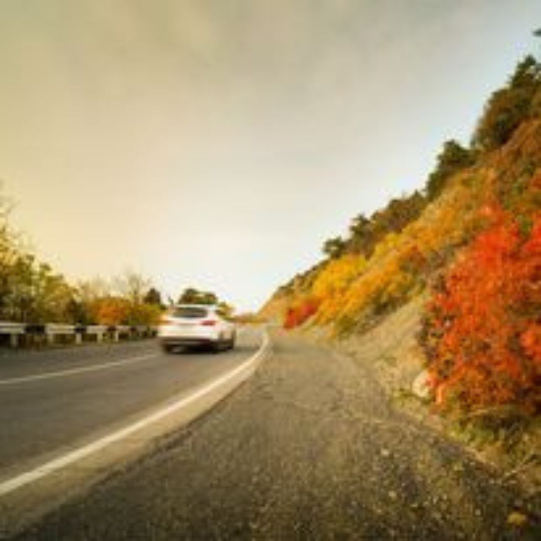 Gallery thumbnail