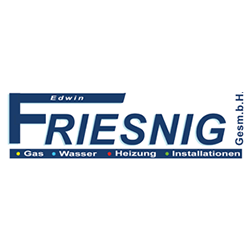 Friesnig Edwin GesmbH Logo
