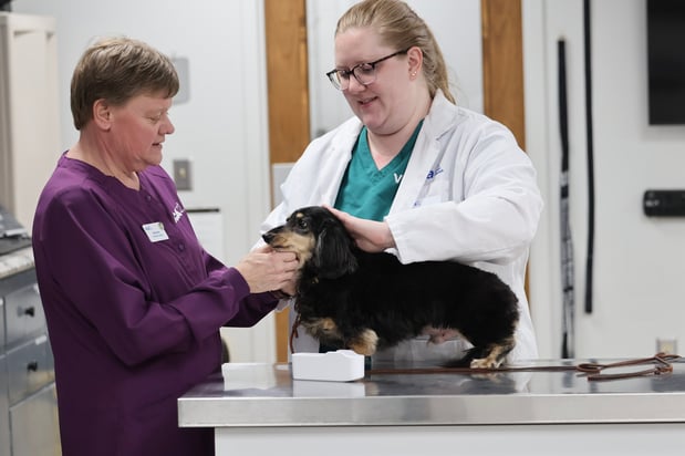 Images VCA Marshalltown Animal Hospital - CLOSED