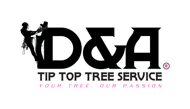 Images D & A Tip Top Tree Service LLC