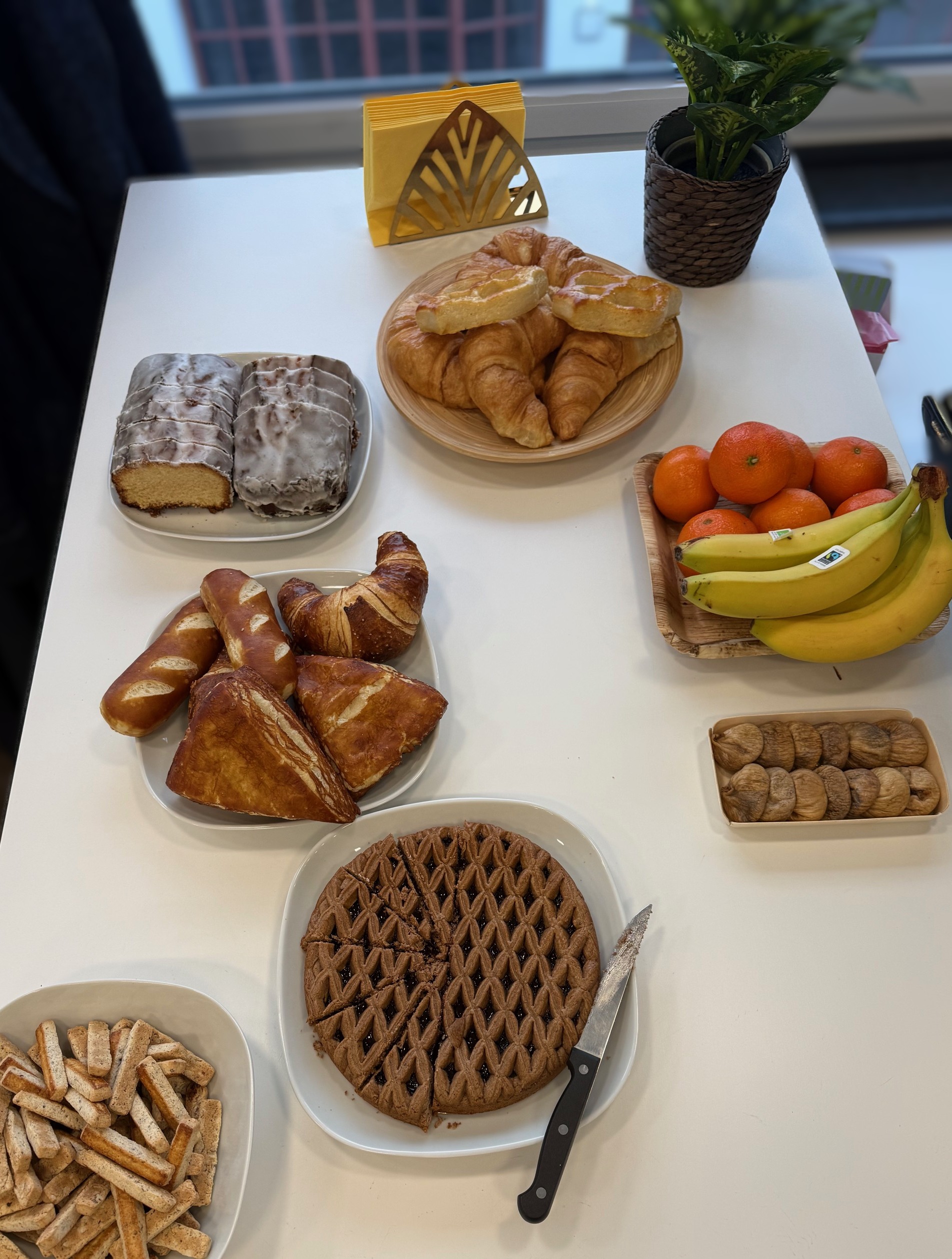 EHS Erasmus Hochschule GmbH, Mülhauserstrasse 115 in Basel