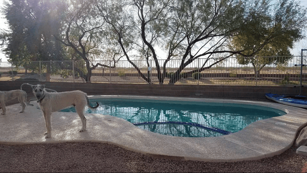 Images Five Star Pool Service