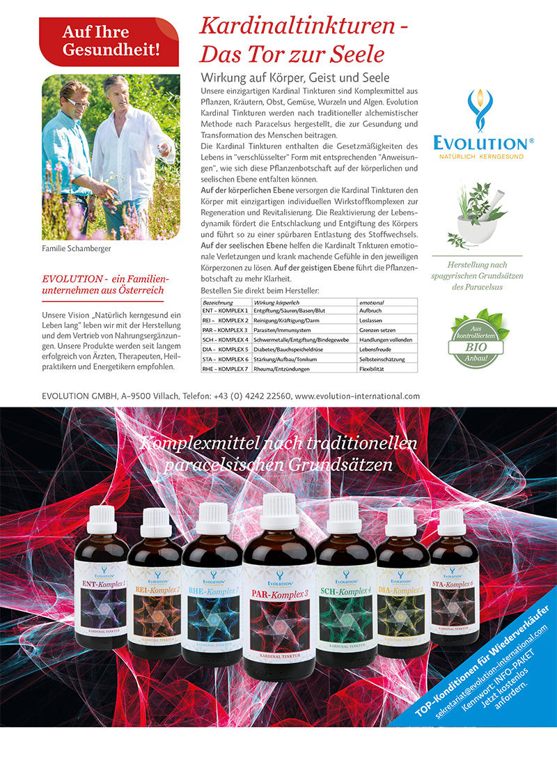 Evolution GmbH, Hausergasse 28 in Villach