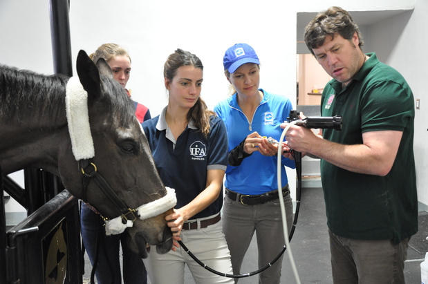 Images Palm Beach Equine Clinic