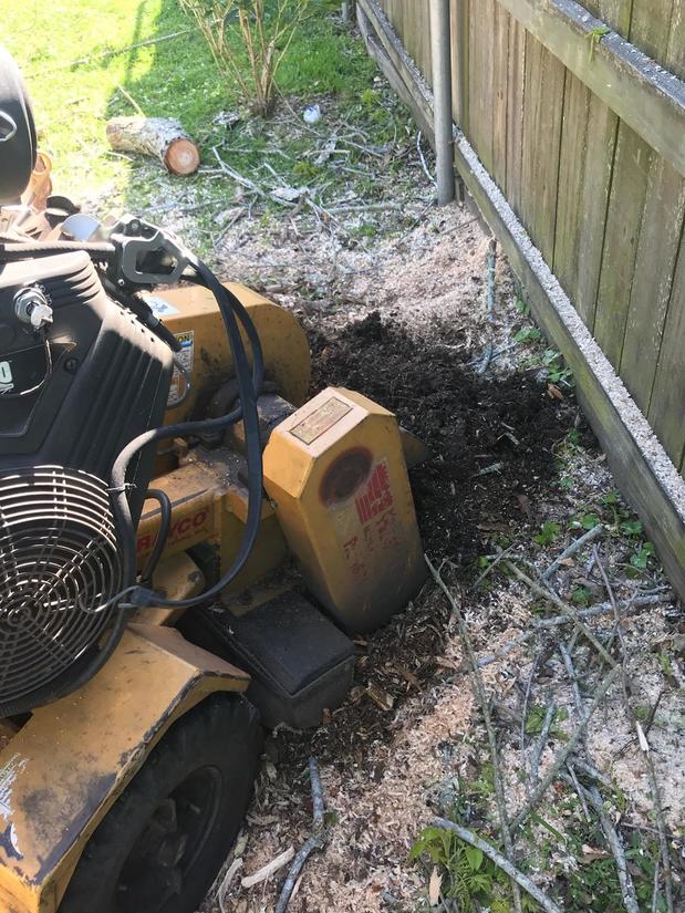 Images S & L Tree Service & Stump Grinding