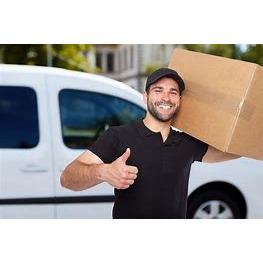 Mitchell's Professional Movers Logo