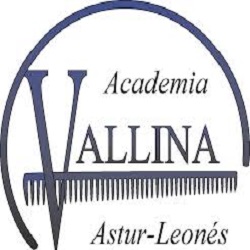 Academia de Peluquería Vallina Logo