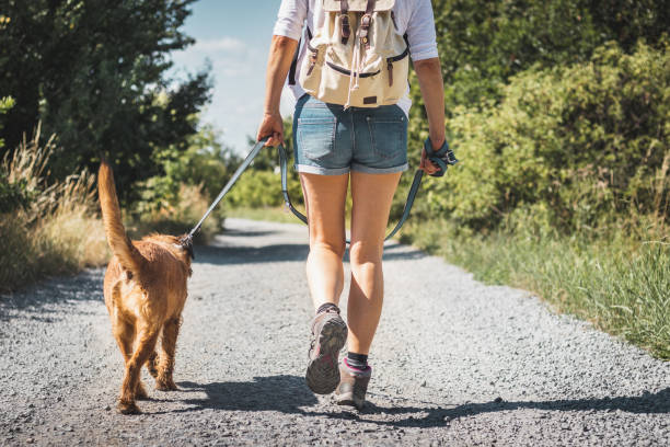 Images Great Outdogs