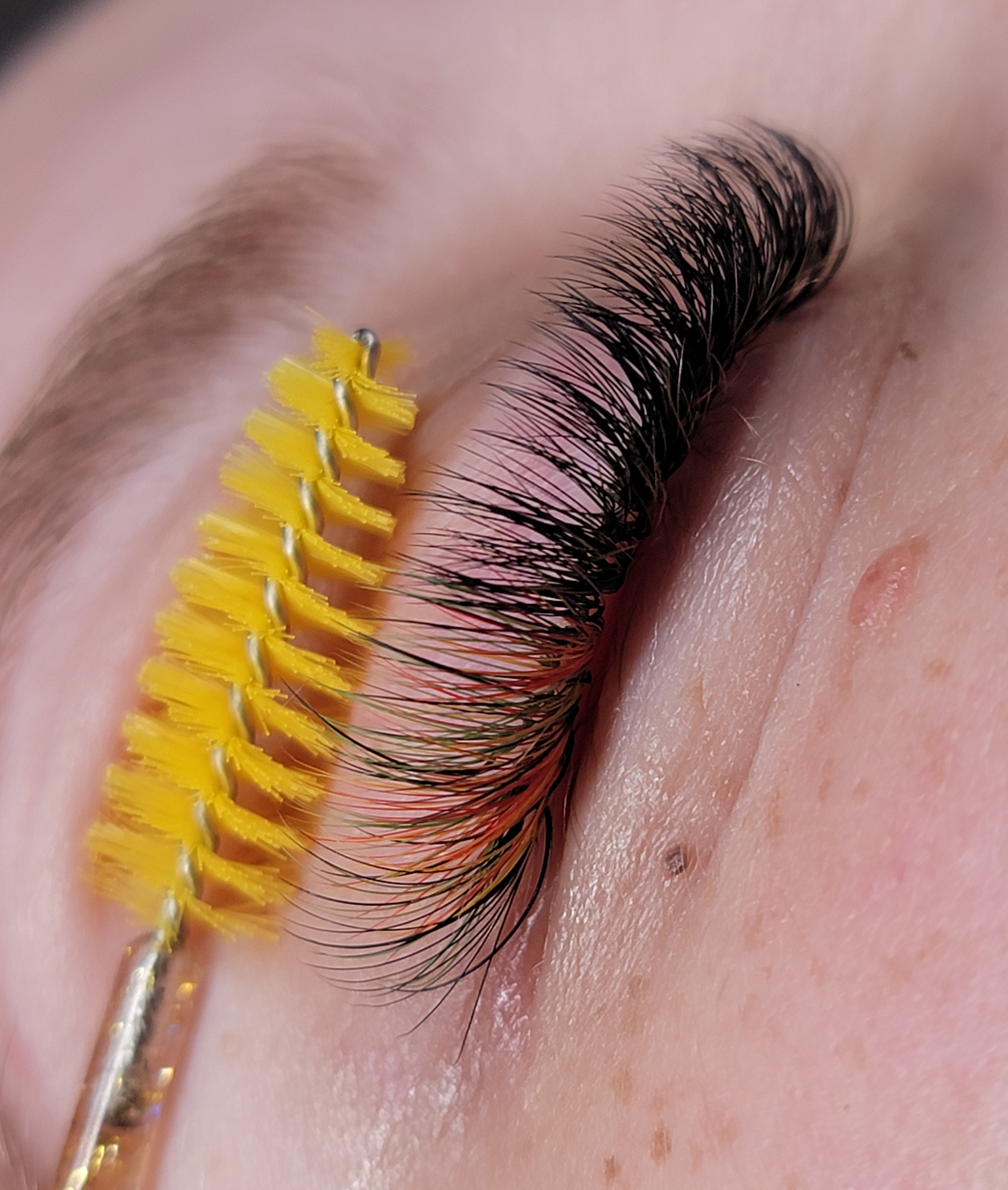 Images Lashista - Formation cils - Pose de cils - Produits de cils Longueuil
