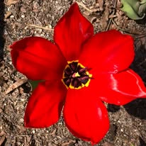 Center Peace Farm Image