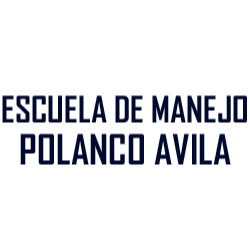 Escuela De Manejo Polanco Avila México DF