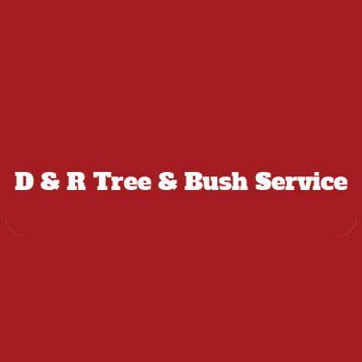 D & R Tree & Bush Service Logo