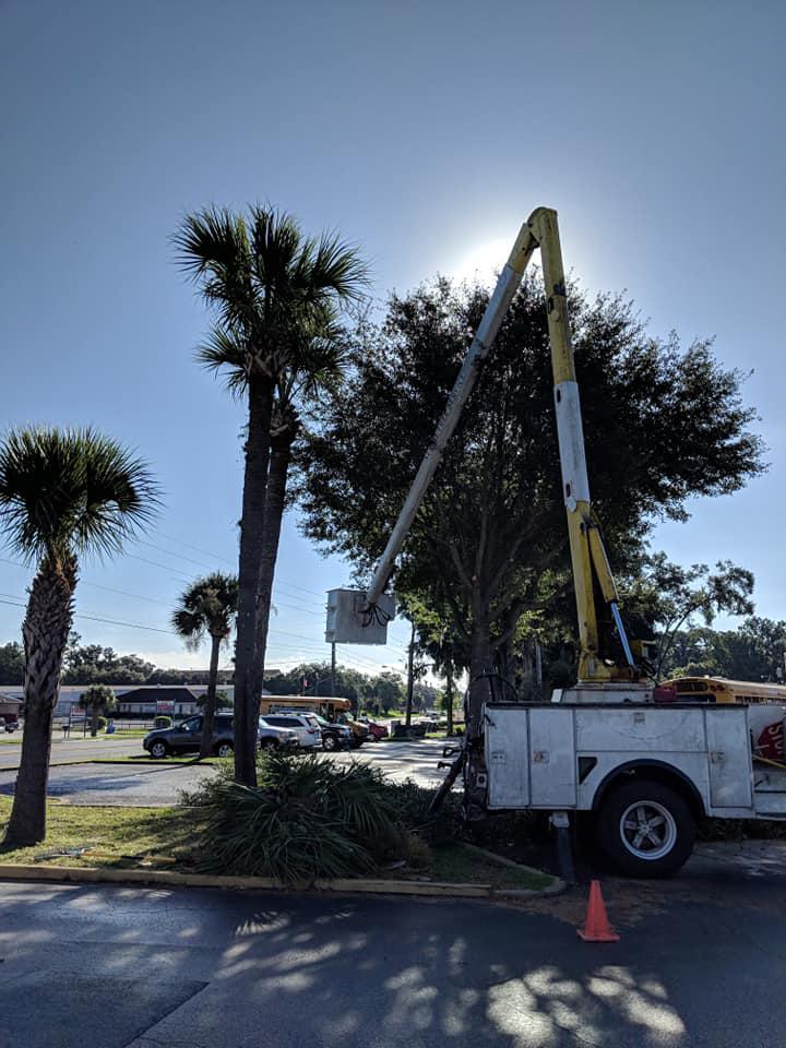 Aerial Tree Service, LLC Photo