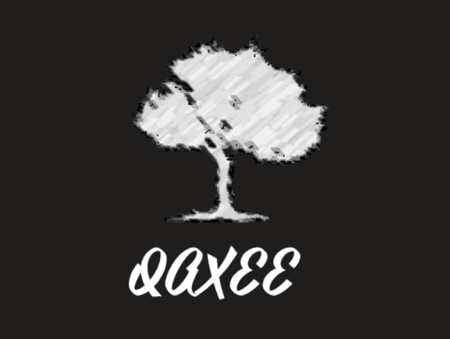 Qaxee Accounting & Business Consulting
