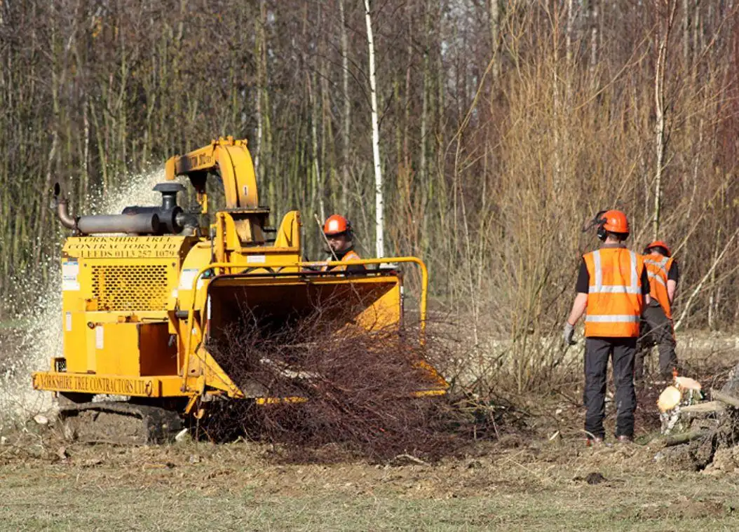 Images Yorkshire Tree Contractors